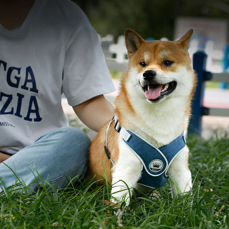 Soft Mesh Dog Harness & Leash Set – Adjustable Reflective Vest for Small & Large Dogs