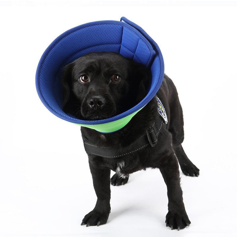 Soft Recovery Collar for Dogs & Cats – Adjustable Medical Cone After Surgery