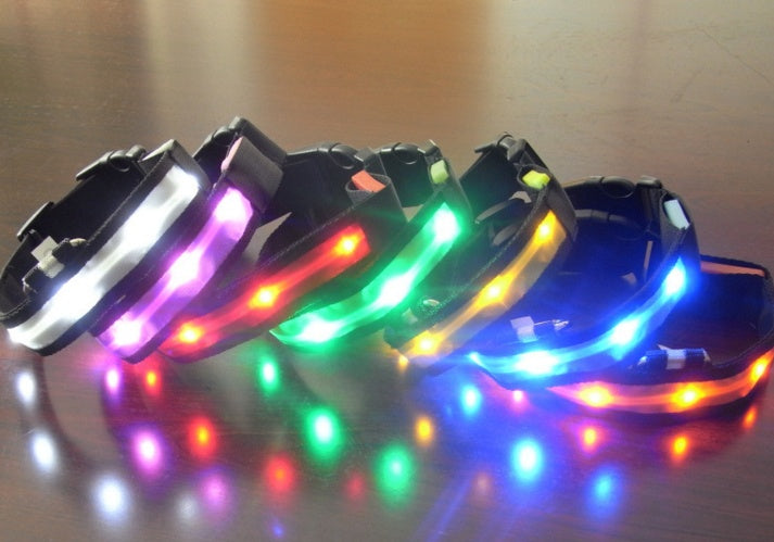 LED Dog Collar – USB Rechargeable Light Up Safety Collar for Night Walks