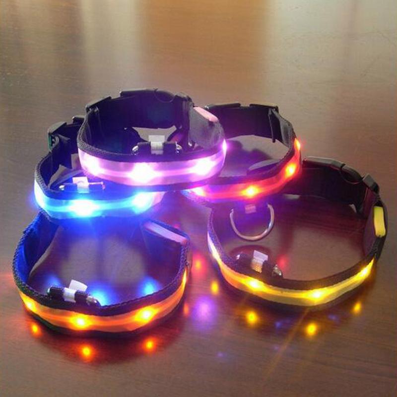 LED Dog Collar – USB Rechargeable Light Up Safety Collar for Night Walks