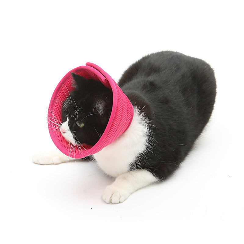 Soft Recovery Collar for Dogs & Cats – Adjustable Medical Cone After Surgery