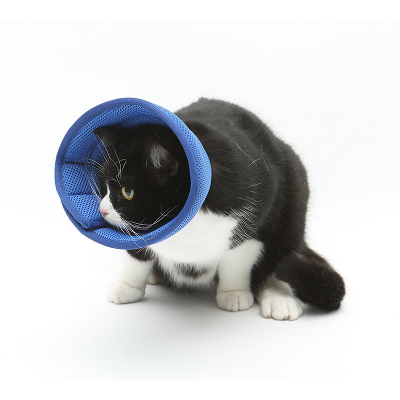 Soft Recovery Collar for Dogs & Cats – Adjustable Medical Cone After Surgery