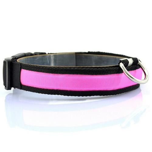 LED Dog Collar – USB Rechargeable Light Up Safety Collar for Night Walks