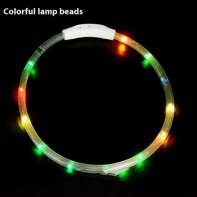 LED Light Up Dog Collar – USB Rechargeable Glowing Safety Collar for Night Walks