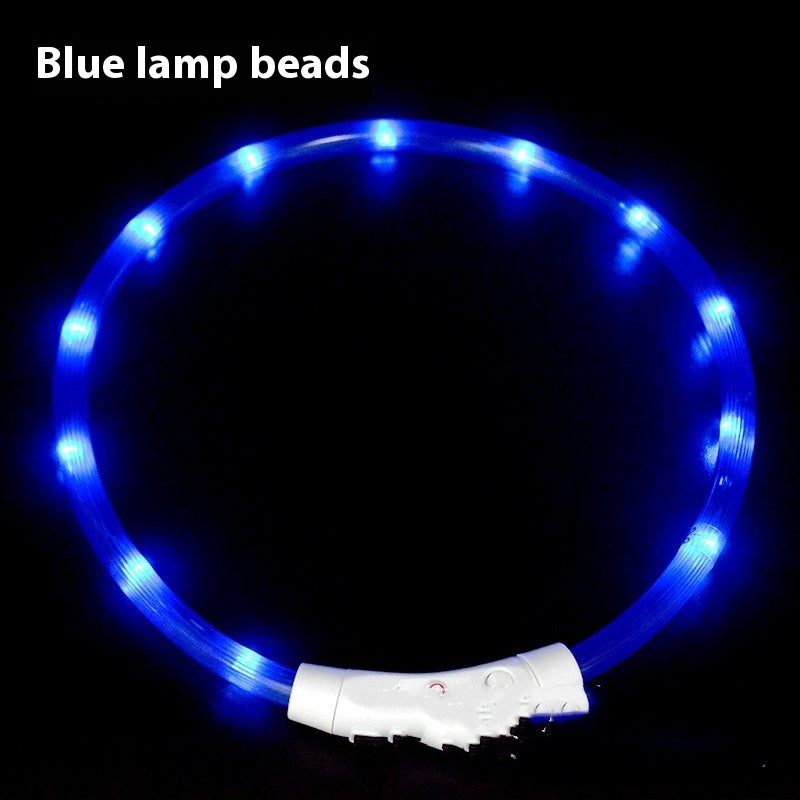 LED Light Up Dog Collar – USB Rechargeable Glowing Safety Collar for Night Walks
