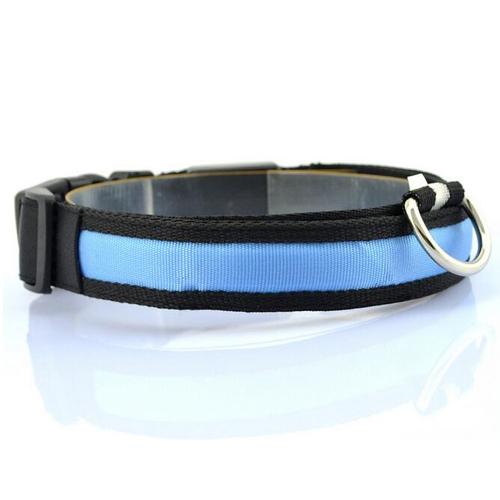LED Dog Collar – USB Rechargeable Light Up Safety Collar for Night Walks