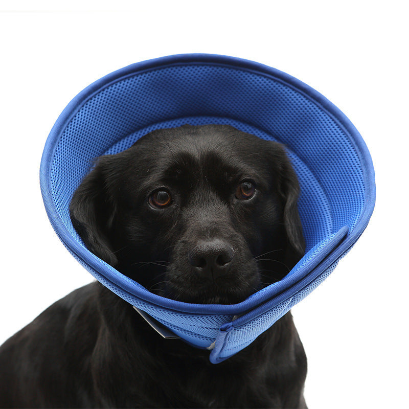 Soft Recovery Collar for Dogs & Cats – Adjustable Medical Cone After Surgery