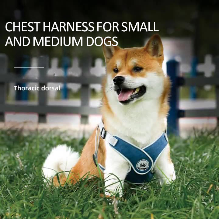 Soft Mesh Dog Harness & Leash Set – Adjustable Reflective Vest for Small & Large Dogs