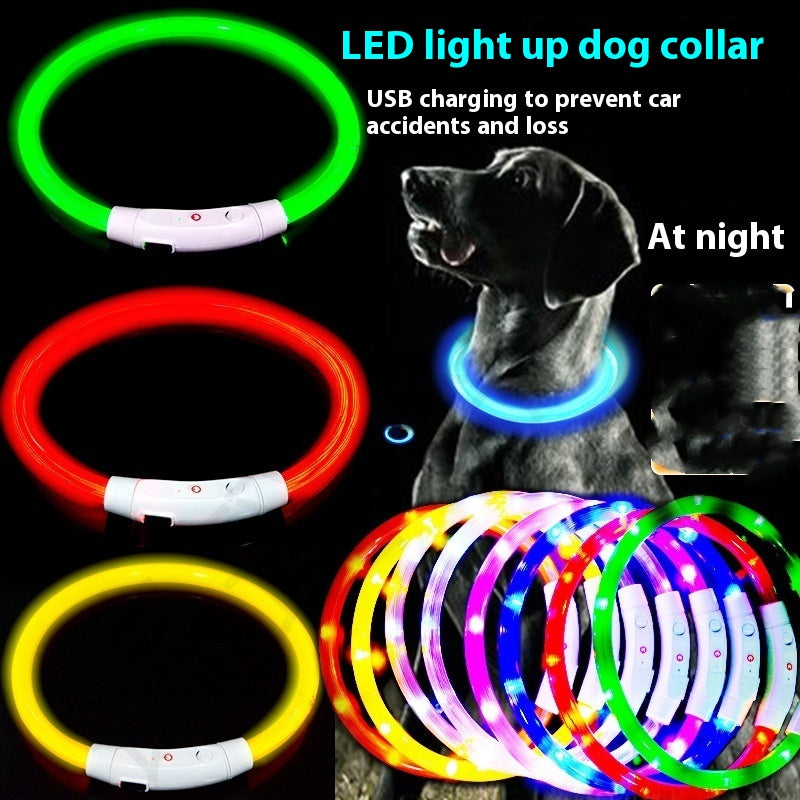 LED Light Up Dog Collar – USB Rechargeable Glowing Safety Collar for Night Walks